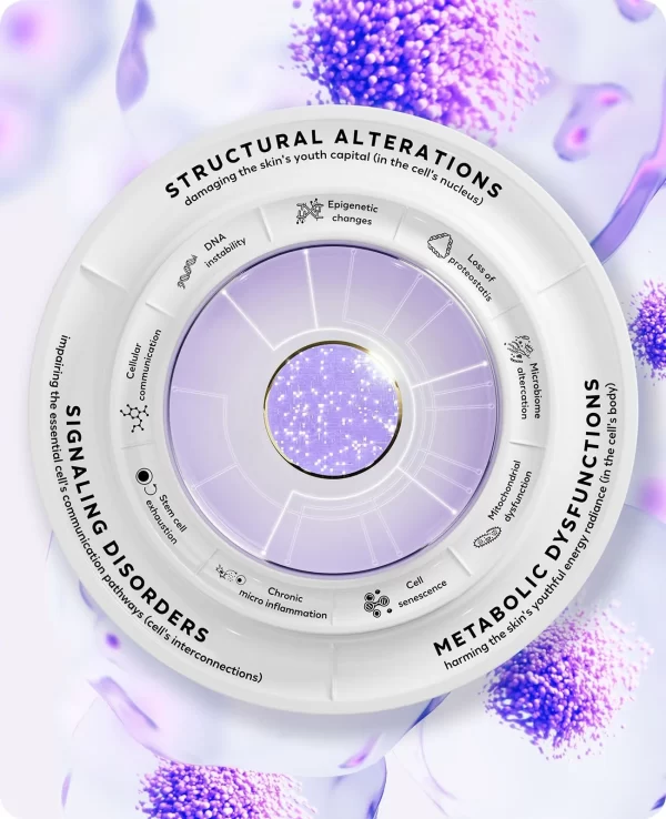 L'Oréal Anti-Aging